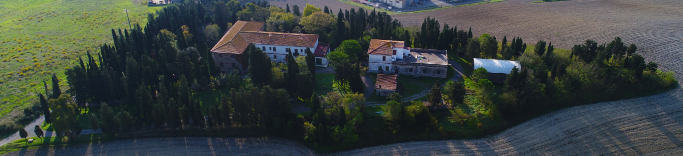 Scapigliato riprendono le attività del Centro Toscano per lEconomia